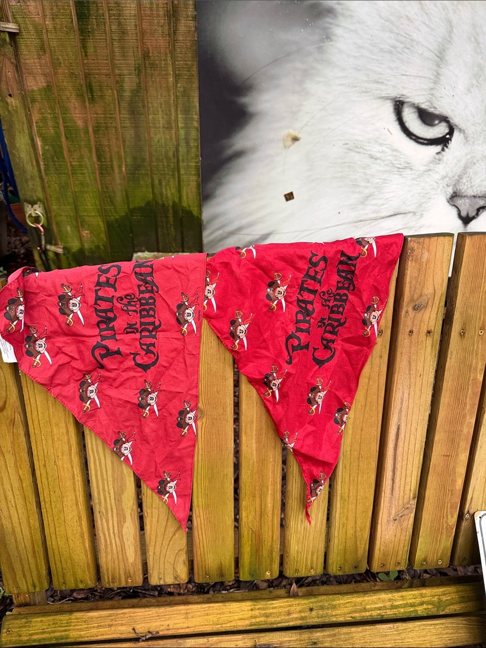 Red Kids Bandana Costume pirates of Caribbean bandanna Disney Cruise w bag